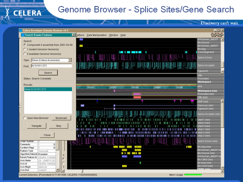 screenshot of Celera genome browser