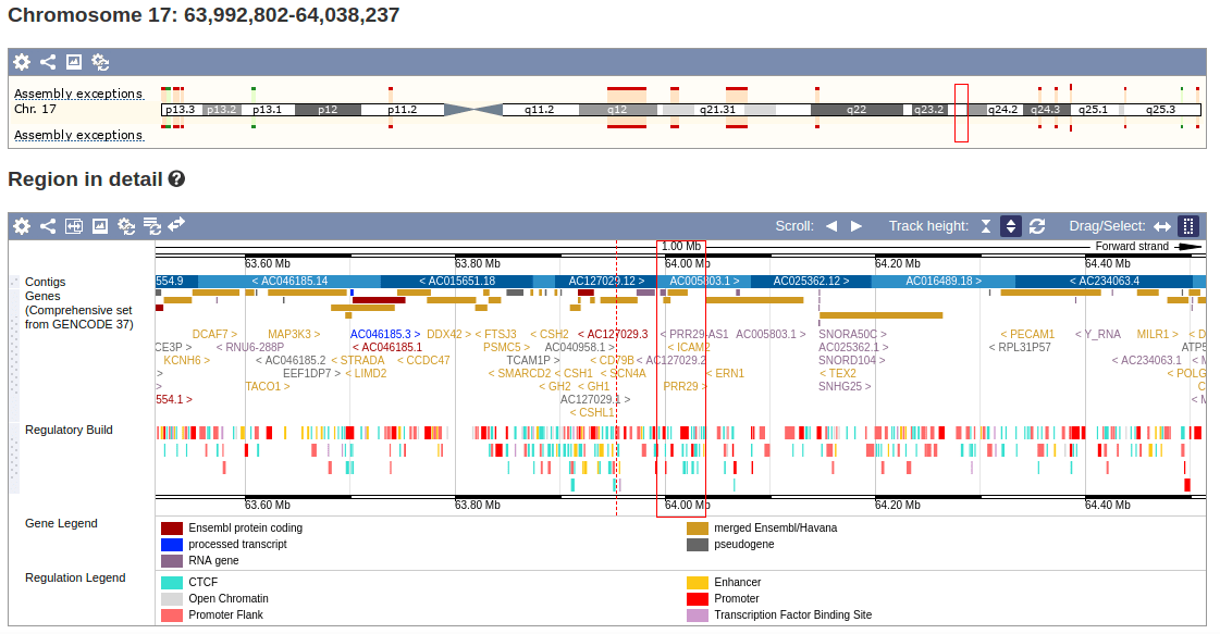 screenshot of Ensembl genome browser