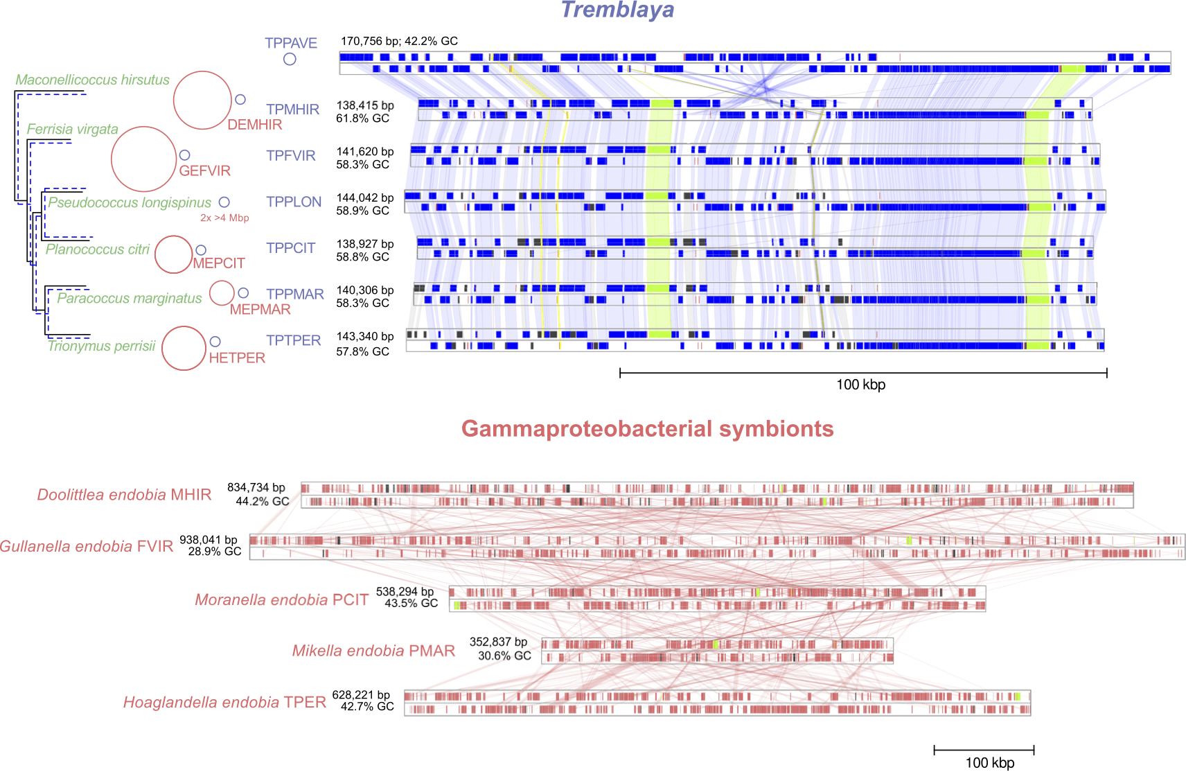 screenshot of Genome-plots-processing
