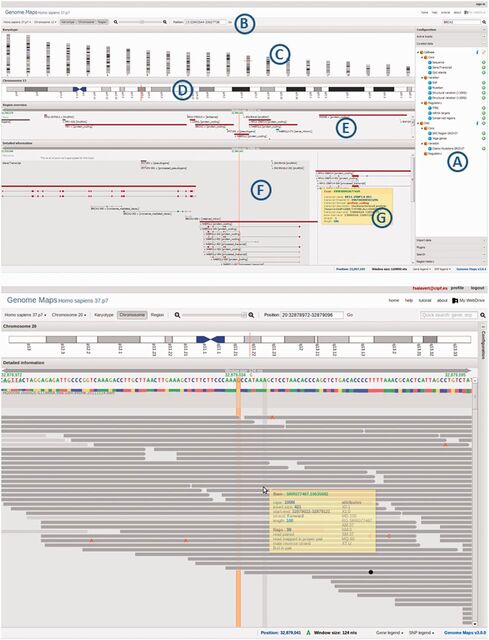 screenshot of GenomeMaps