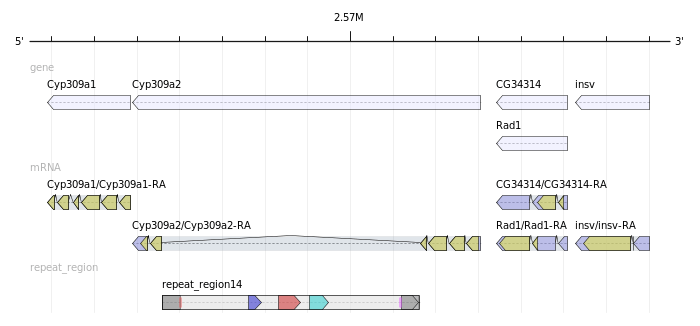 screenshot of GenomeTools