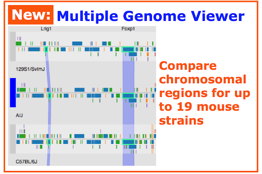 screenshot of Multiple genome viewer