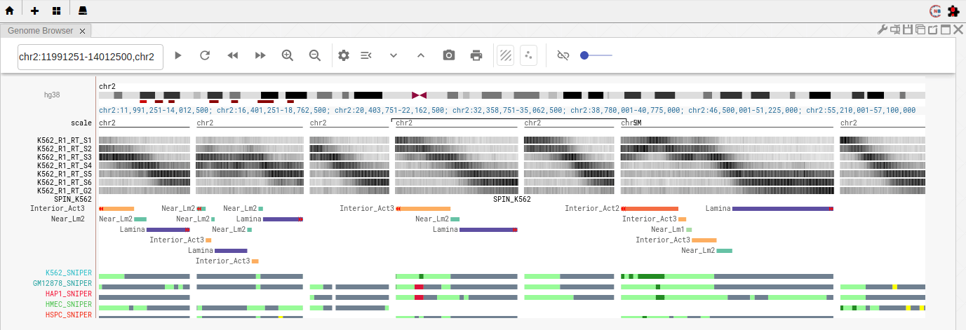 screenshot of Nucleome browser