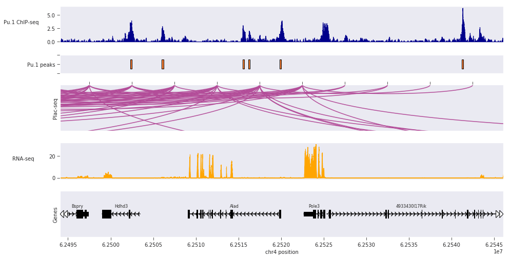 screenshot of python-genome-browser aka pygbrowse