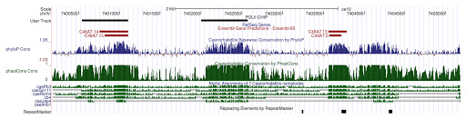 screenshot of UCSC genome browser