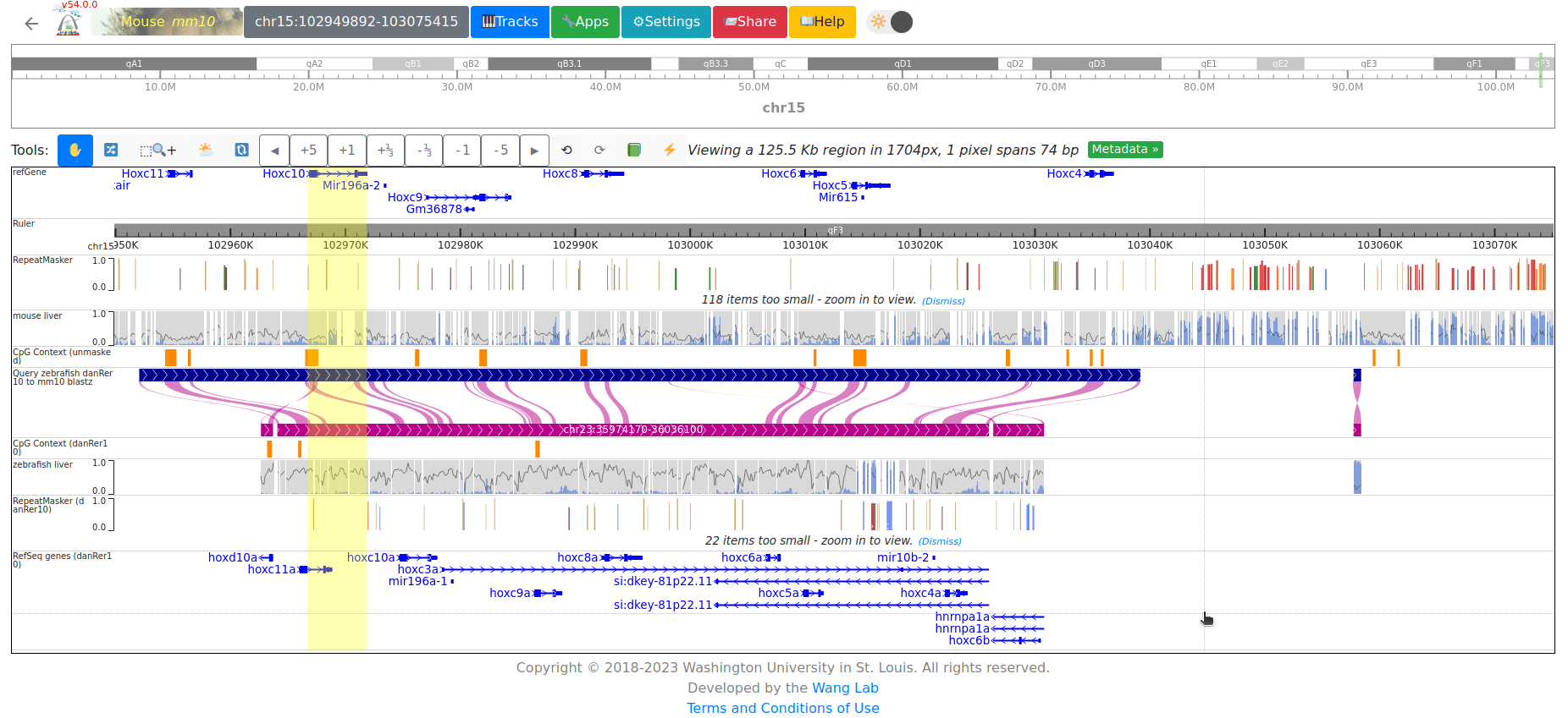 screenshot of WashU epigenomics browser