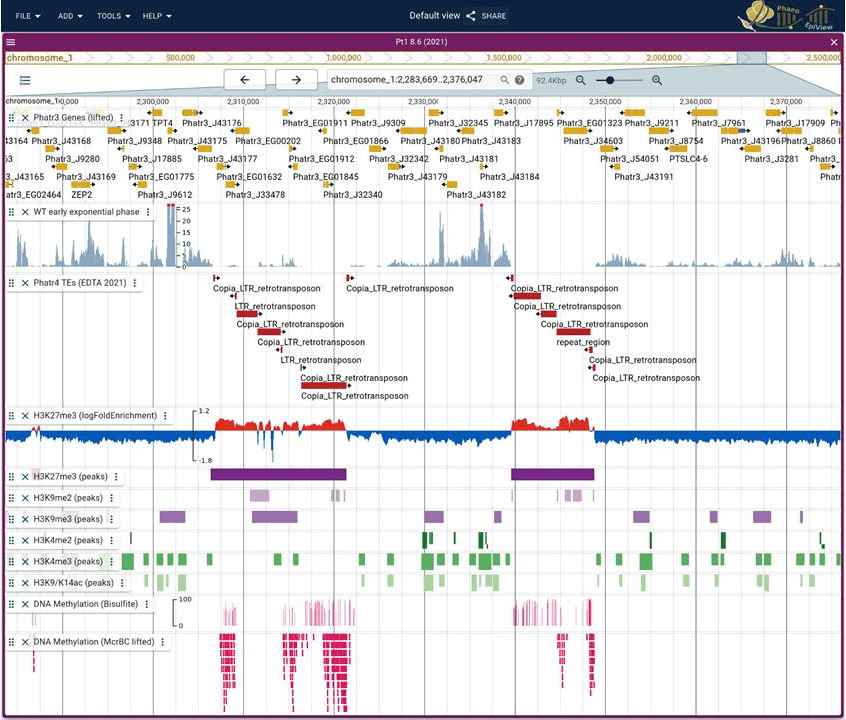 screenshot of PhaeoEpiView - Diatom epigenome browser