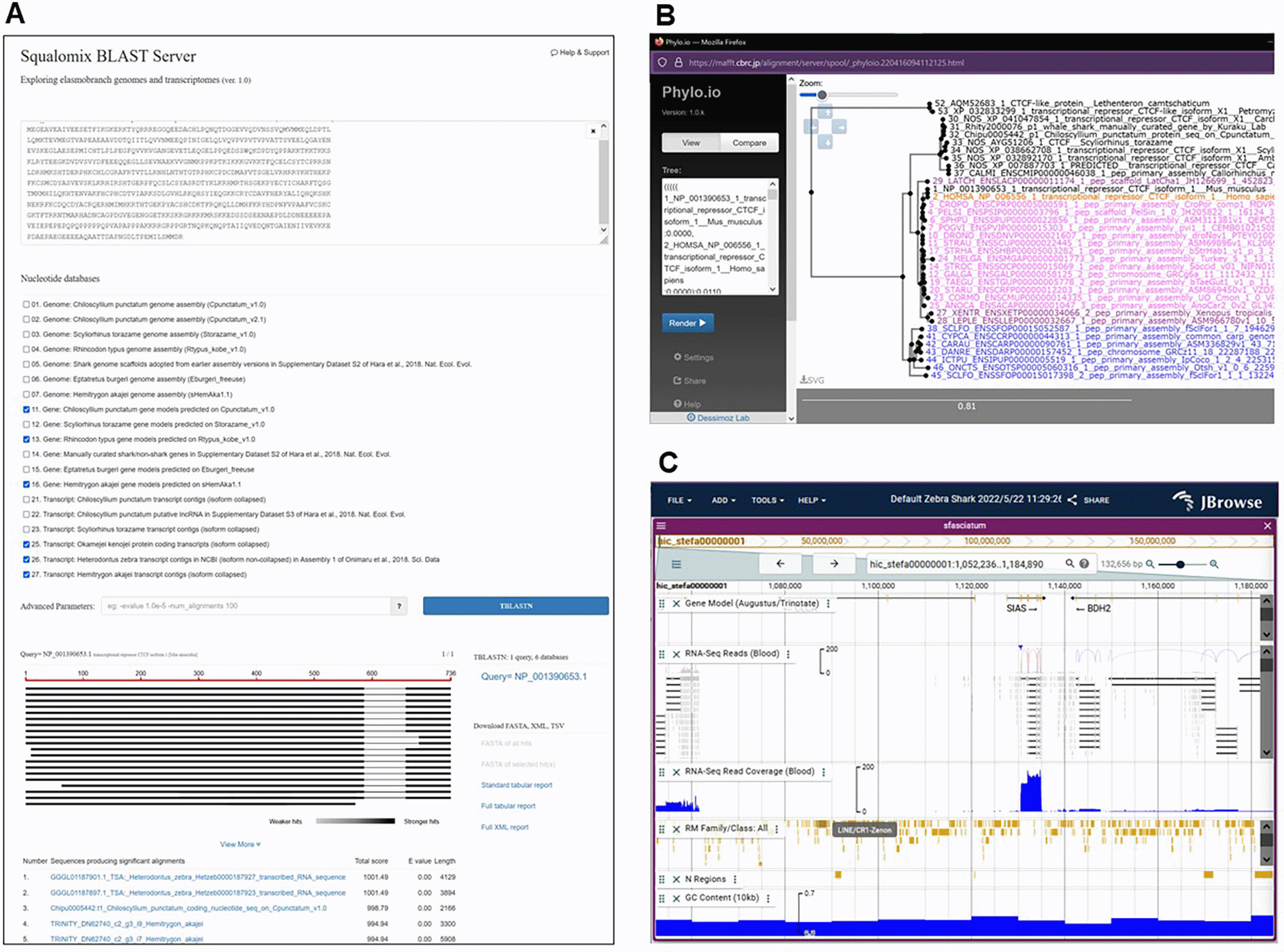 screenshot of Squalomix - shark and ray comparative genomics