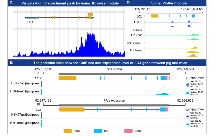 screenshot of IAnimal: a cross-species omics knowledgebase for animals