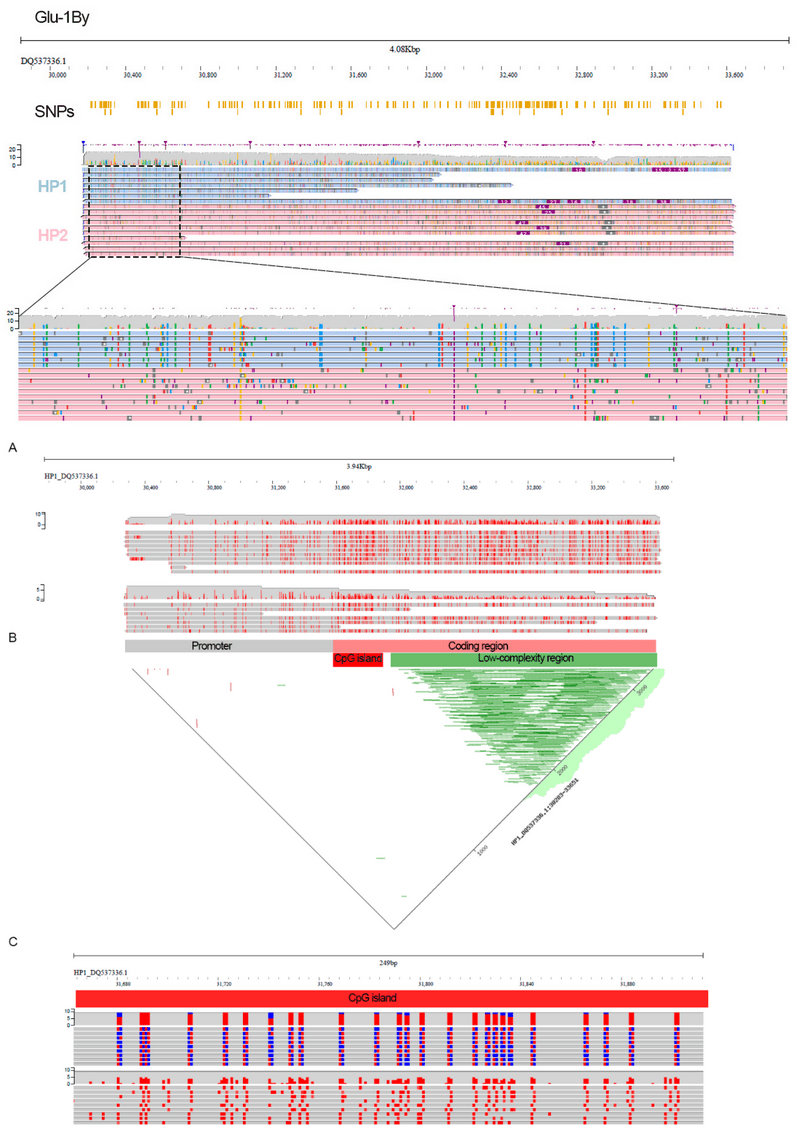 screenshot of Methylation profiling in cereal crops