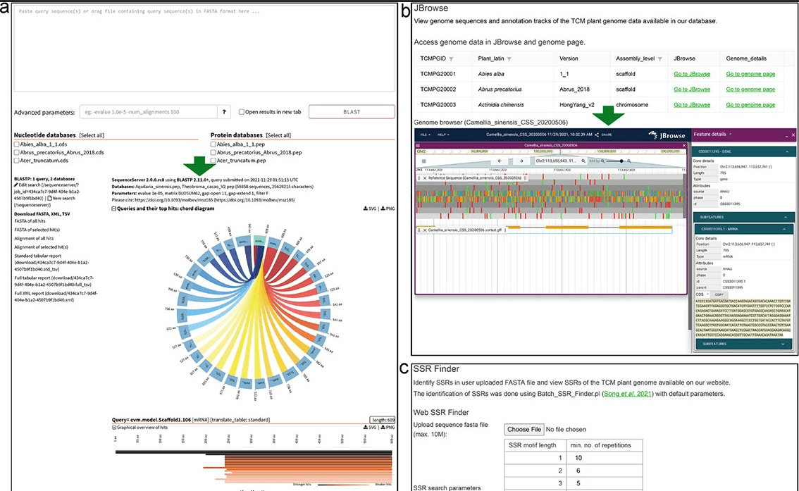 screenshot of TCMPG - Traditional Chinese medicinal plant genome database