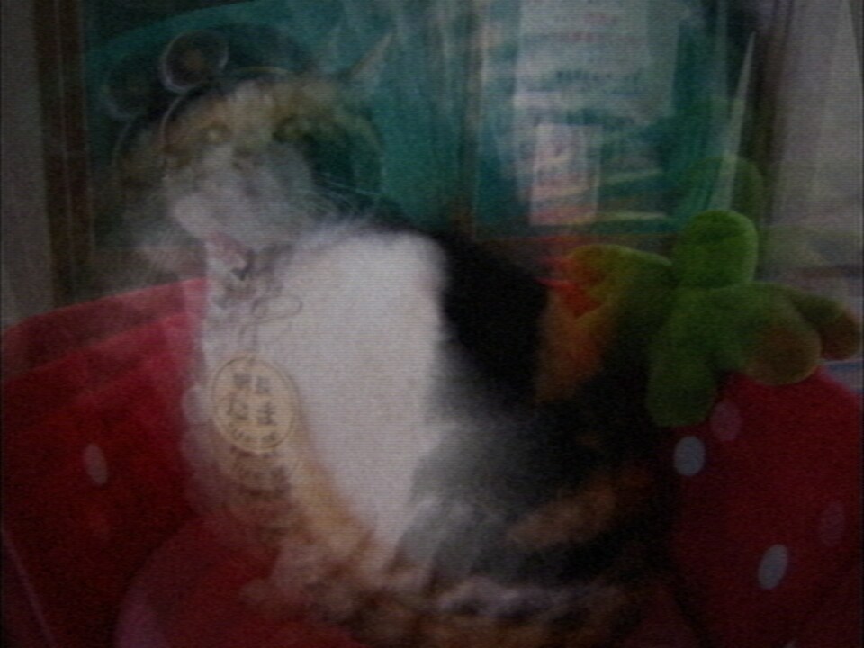 Camera feedback spiralling around the subject